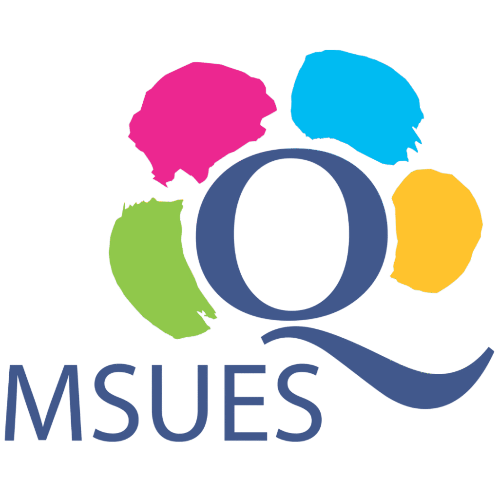 logo-msues-kolory